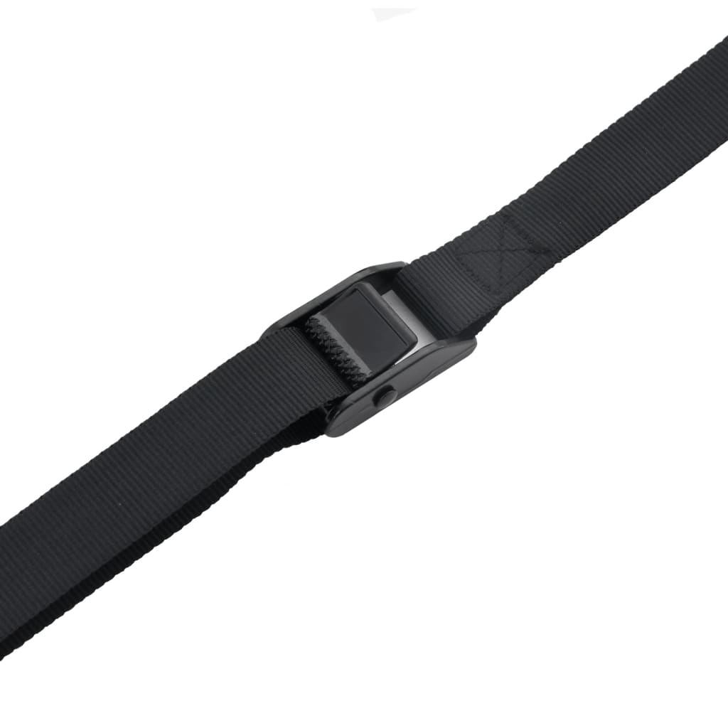 Élévateur De Coffre De Toit 100 Kg Nylon
