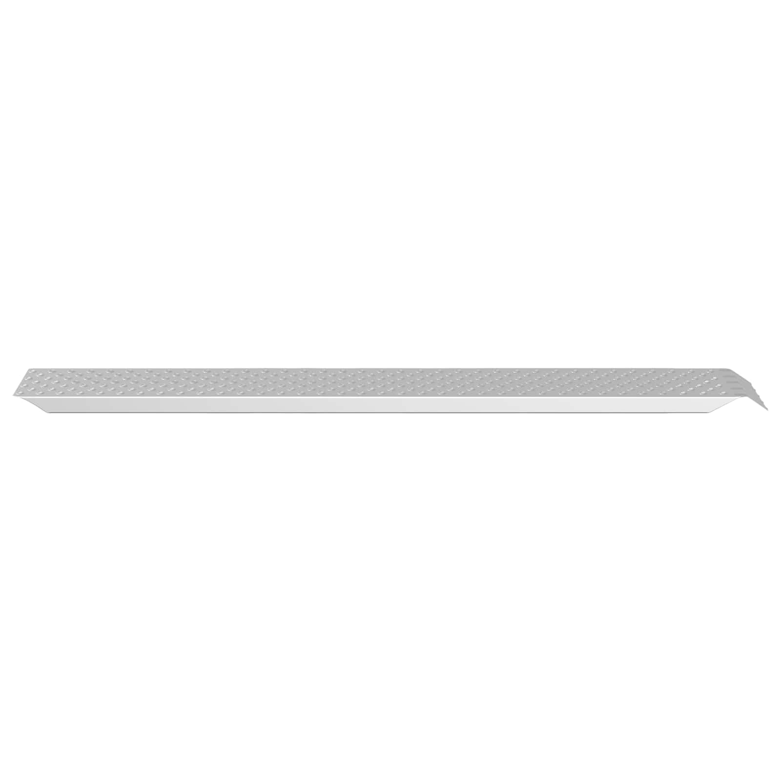 Rampe De Chargement 200 Kg Argent 200 Kg Par Pièce