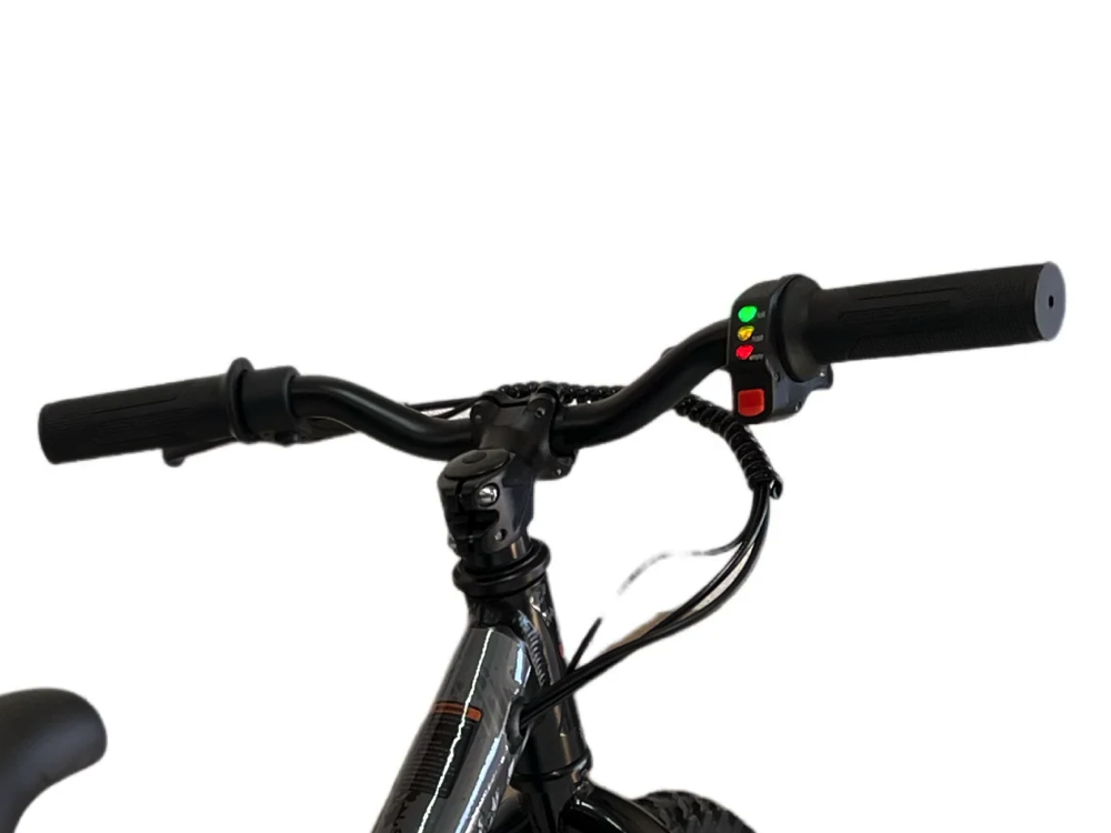 Vélo D'équilibre Électrique 24 Volts Avec Roues De 16 Pouces, Moteur Électrique - Noir