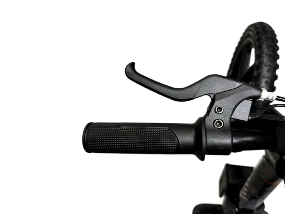 Vélo D'équilibre Électrique 24 Volts Avec Roues De 16 Pouces, Moteur Électrique - Noir
