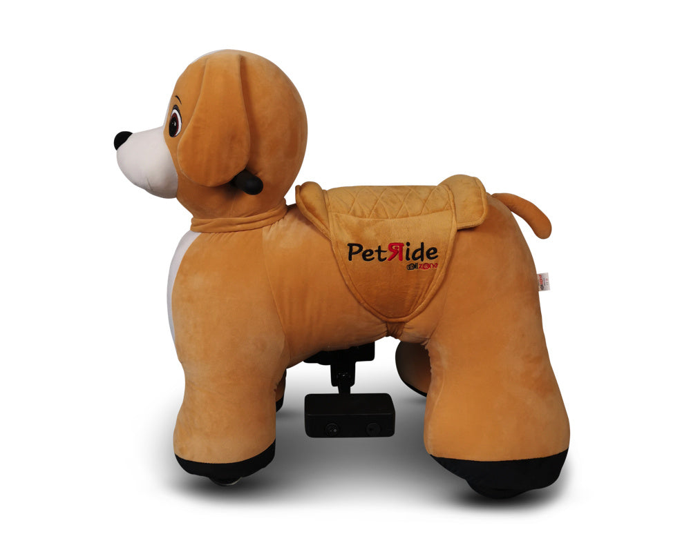 Petride De Rollzone, Chien De Conduite Électrique