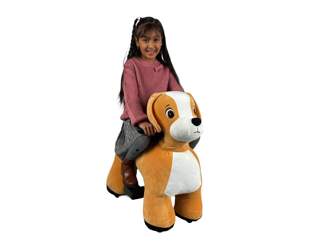 Petride De Rollzone, Chien De Conduite Électrique