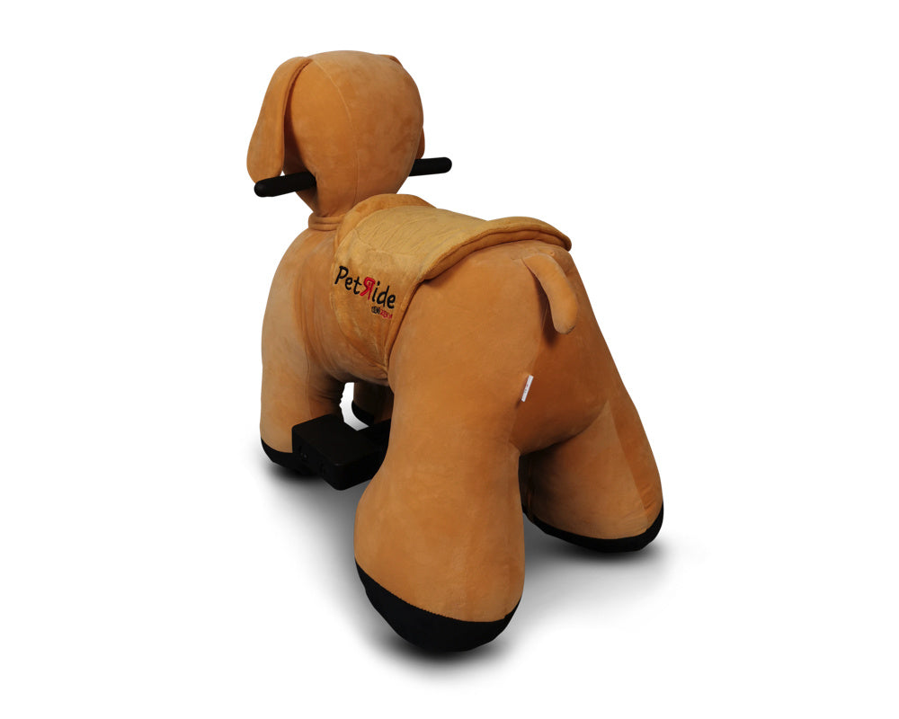 Petride De Rollzone, Chien De Conduite Électrique