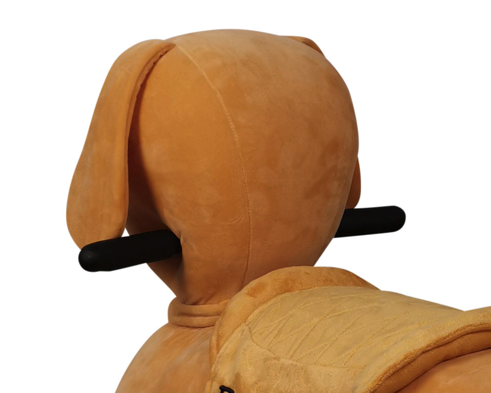 Petride De Rollzone, Chien De Conduite Électrique